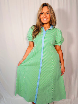 Bluebell Picnic Stripe Shirt Dress