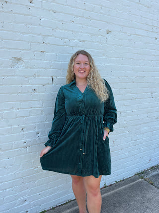 Velvet Vibes Dress (2 Colors)